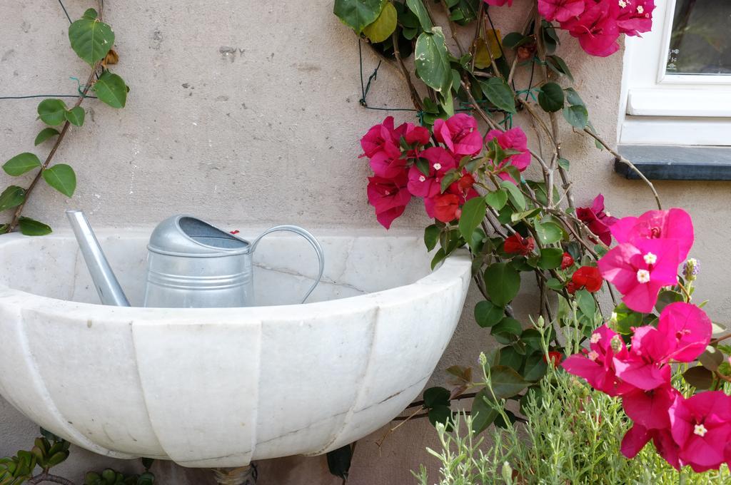 La Terrazza Di Vico Olivi B&B Ventimiglia Kültér fotó