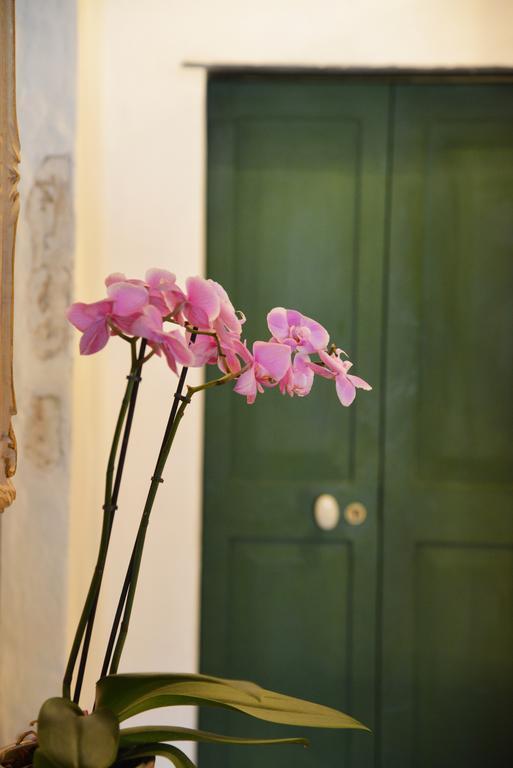 La Terrazza Di Vico Olivi B&B Ventimiglia Kültér fotó